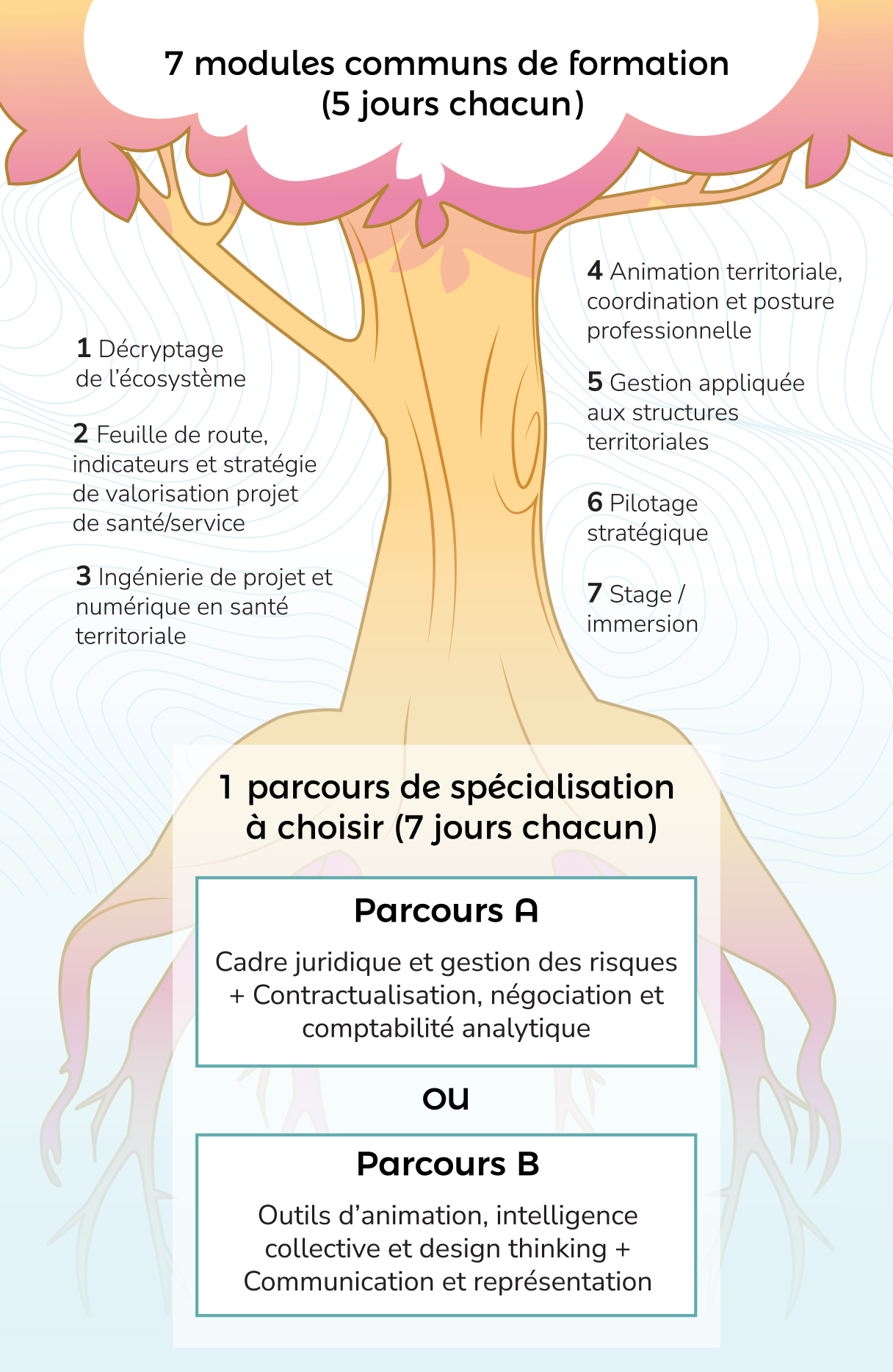MOSAIC Formation direction structure